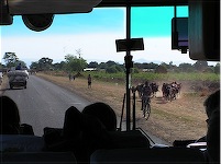 Lake Malawi